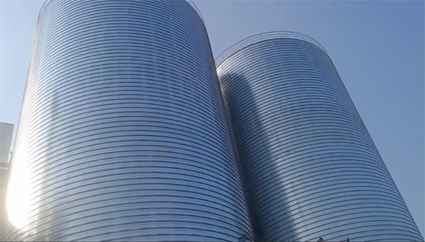 衡水2座混凝土高架卷板仓